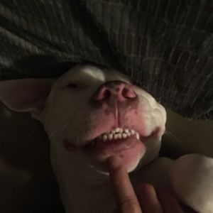 Meet your Posher, Derek